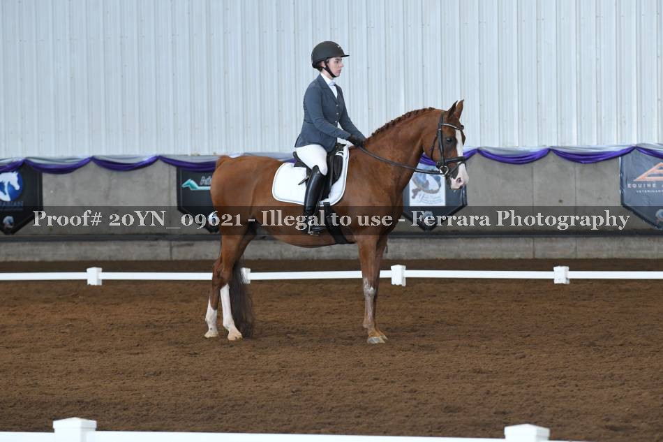 Proof 20YN_09621