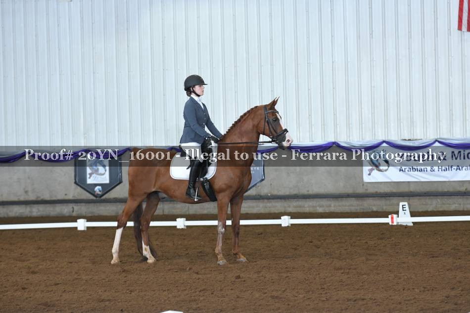 Proof 20YN_16001
