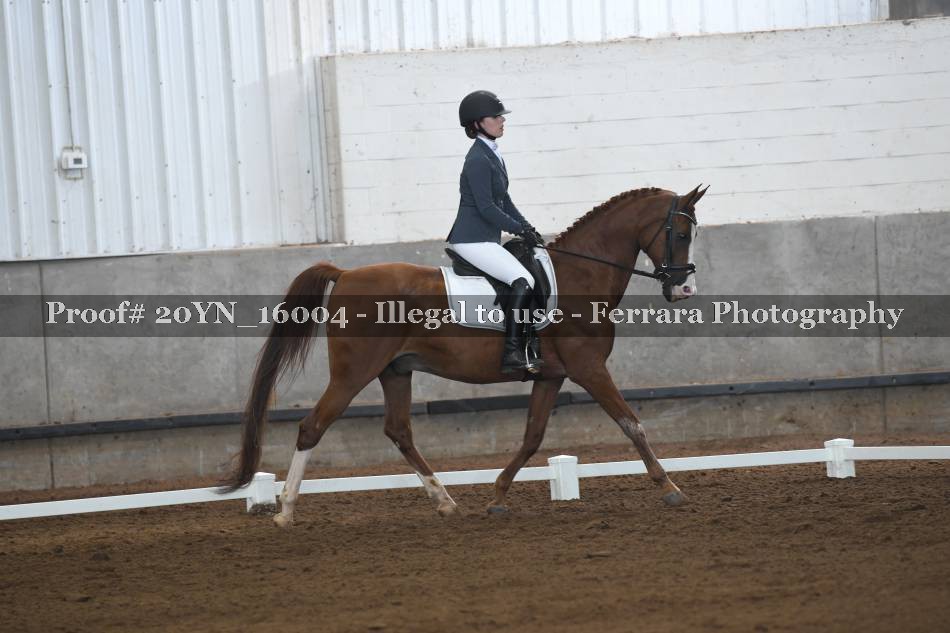 Proof 20YN_16004