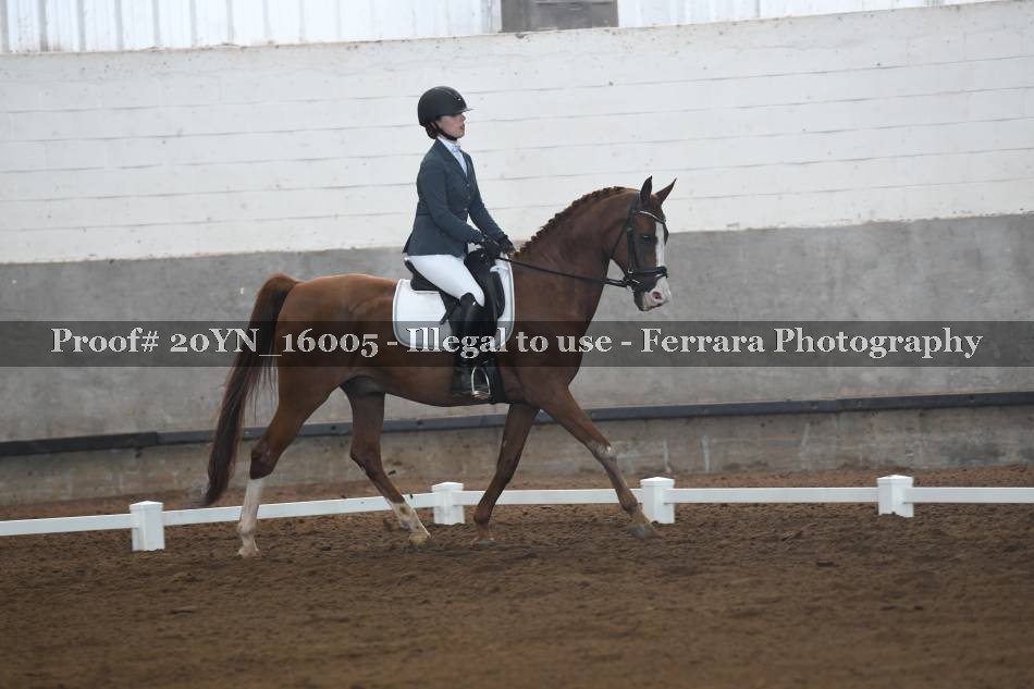 Proof 20YN_16005