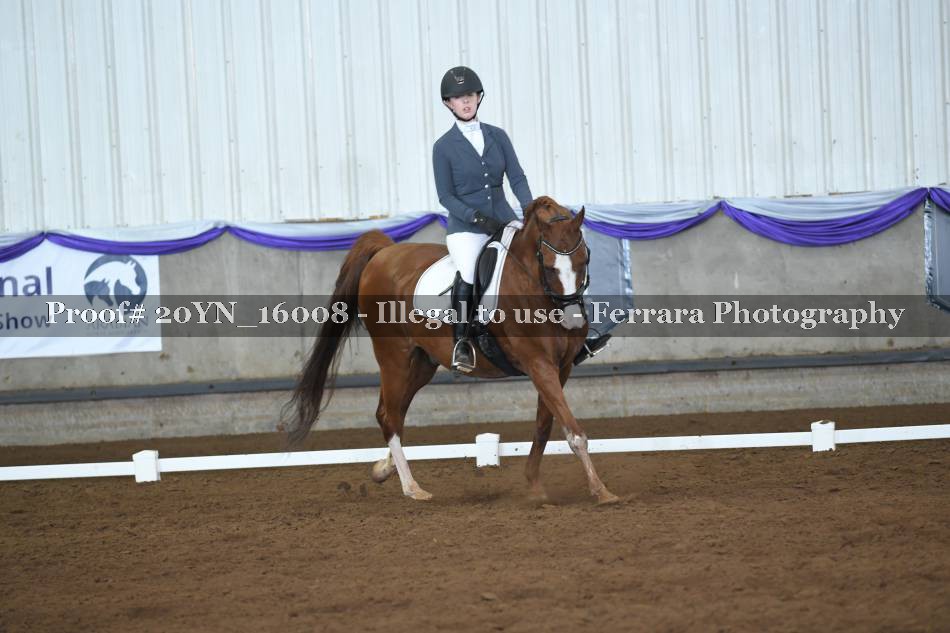 Proof 20YN_16008