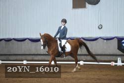 20YN_16010 proof