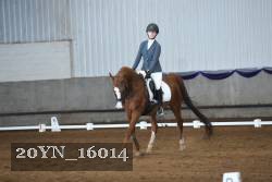 20YN_16014 proof