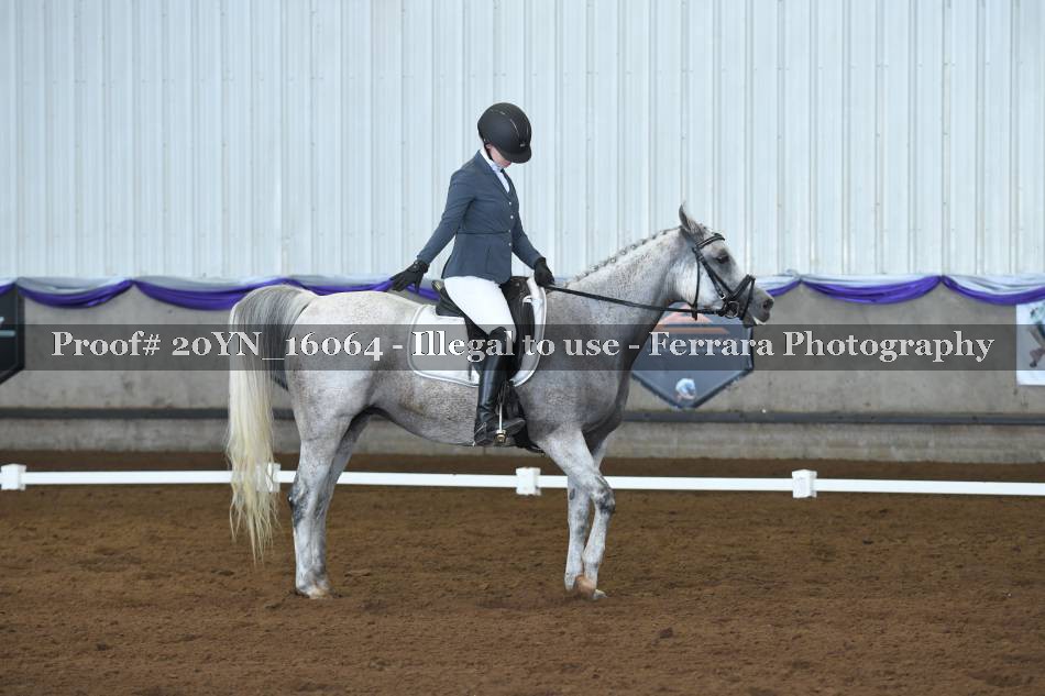 Proof 20YN_16064