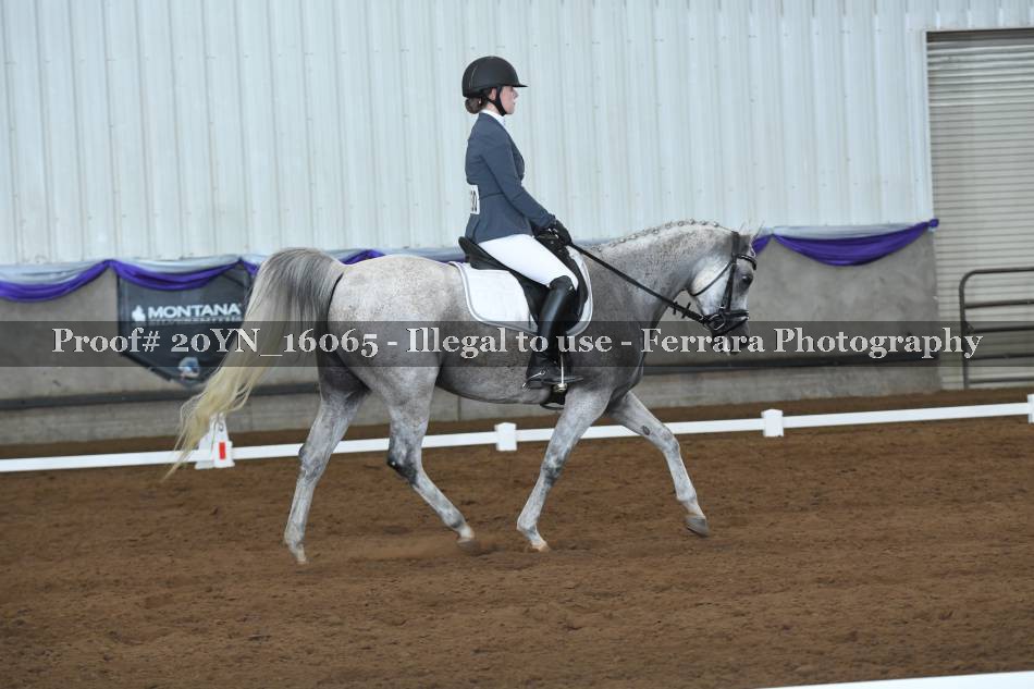 Proof 20YN_16065