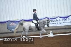 20YN_16071 proof