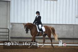 20YN_16172 proof
