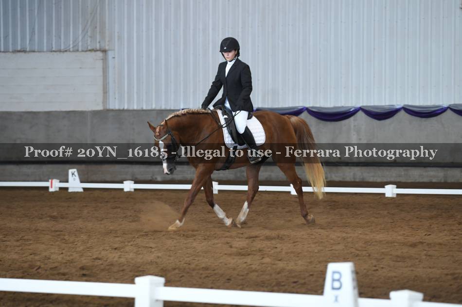 Proof 20YN_16185