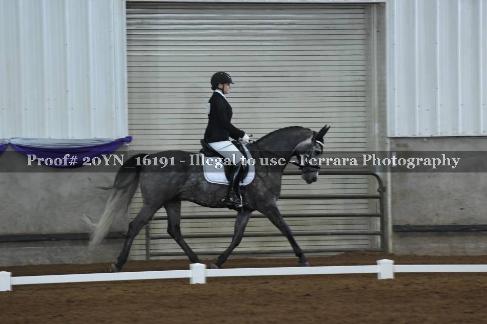 Proof 20YN_16191