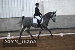 20YN_16202 proof
