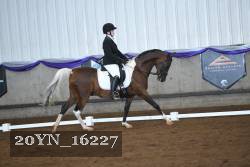 20YN_16227 proof
