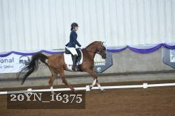 20YN_16375 proof
