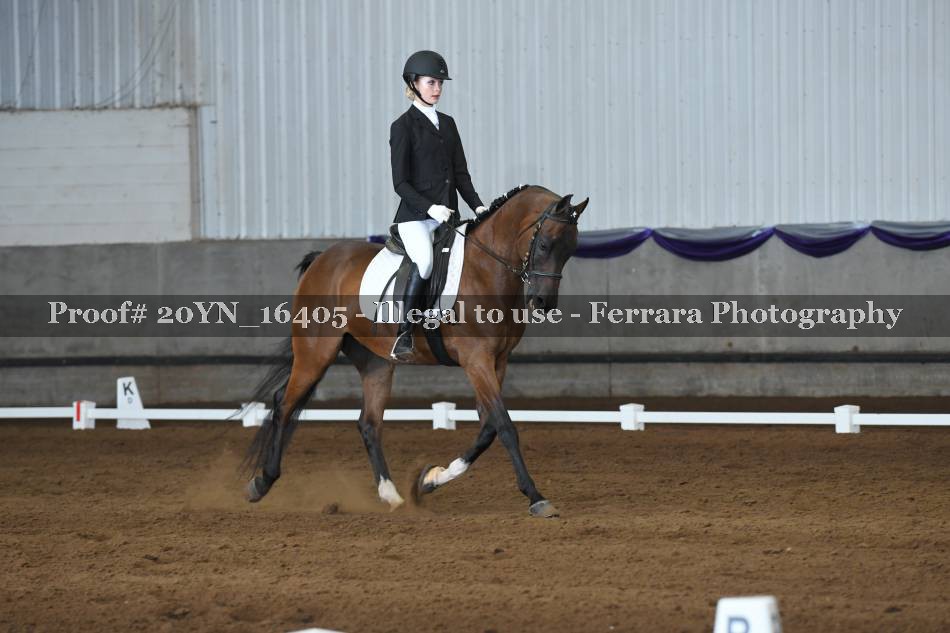 Proof 20YN_16405