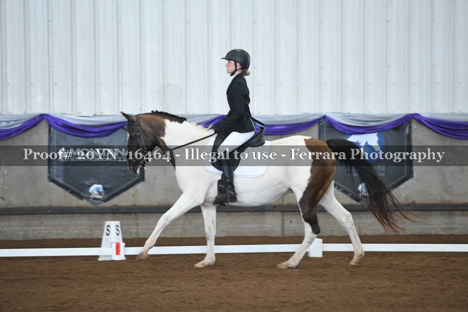 Proof 20YN_16464