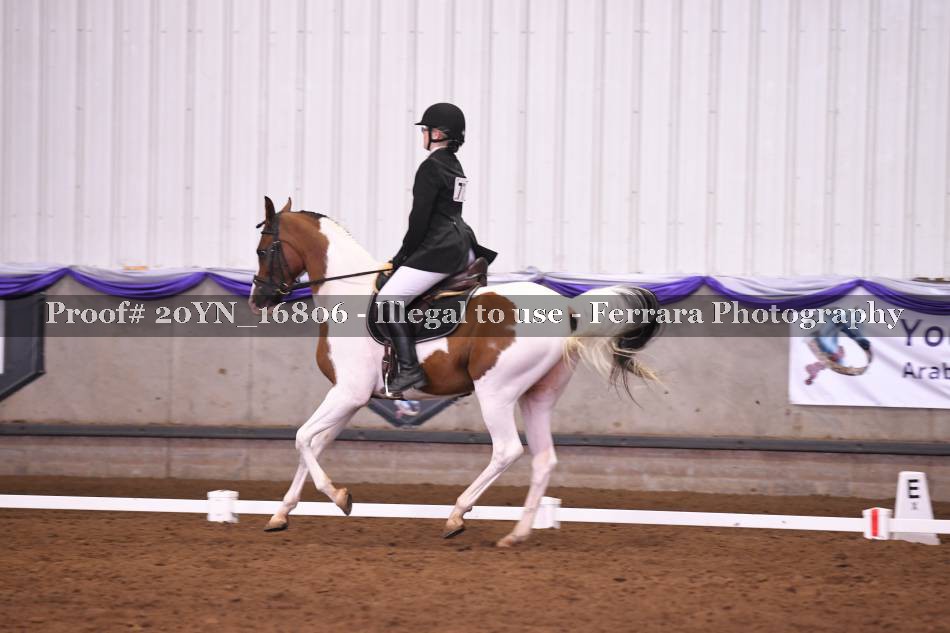 Proof 20YN_16806