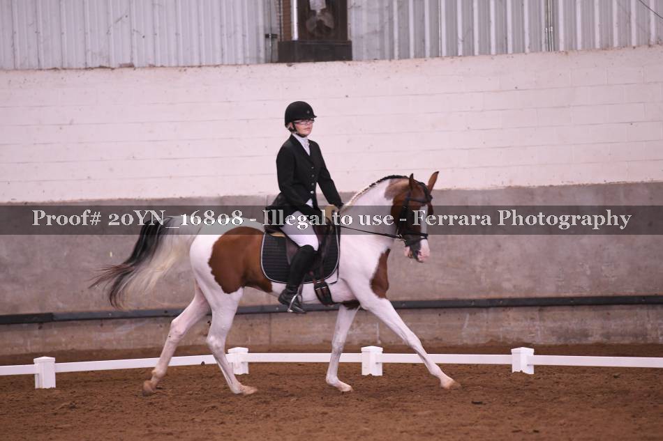 Proof 20YN_16808