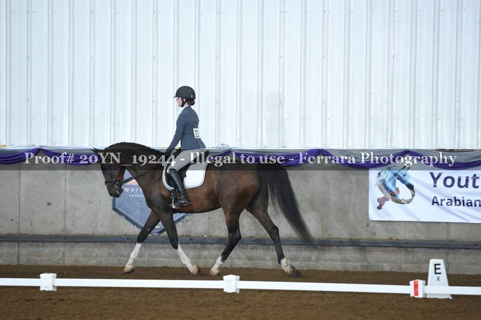 Proof 20YN_19244