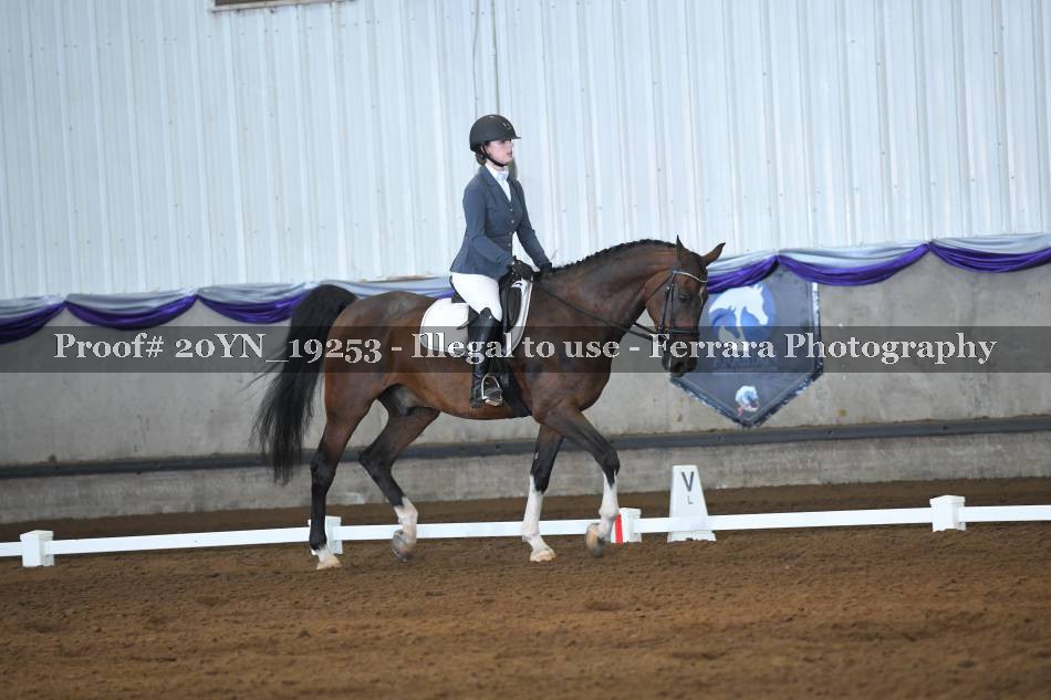 Proof 20YN_19253