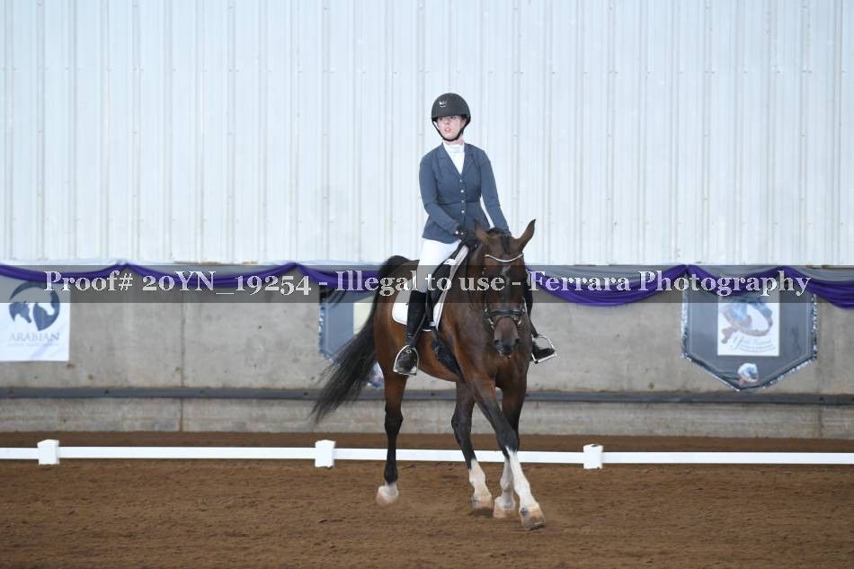 Proof 20YN_19254
