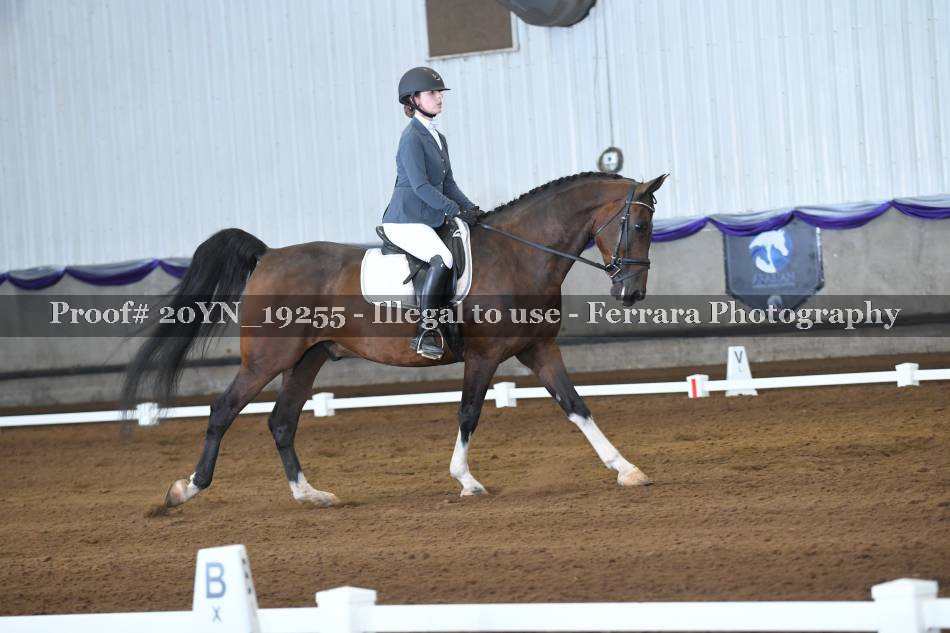 Proof 20YN_19255