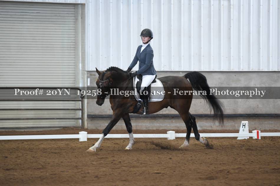 Proof 20YN_19258