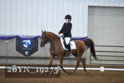 20YN_19275 proof