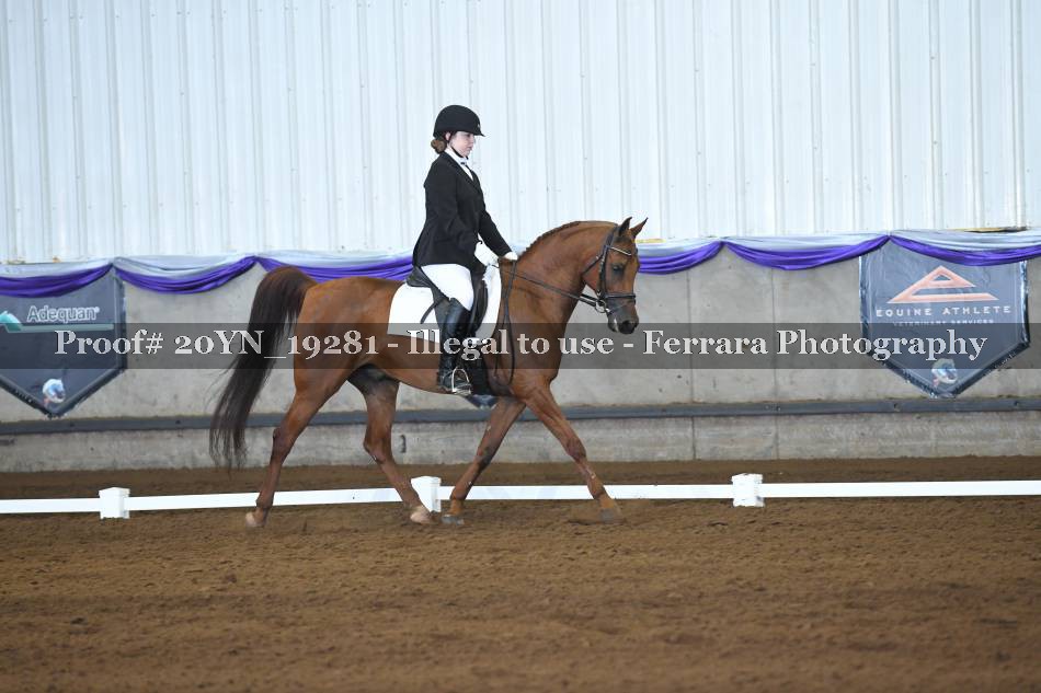 Proof 20YN_19281