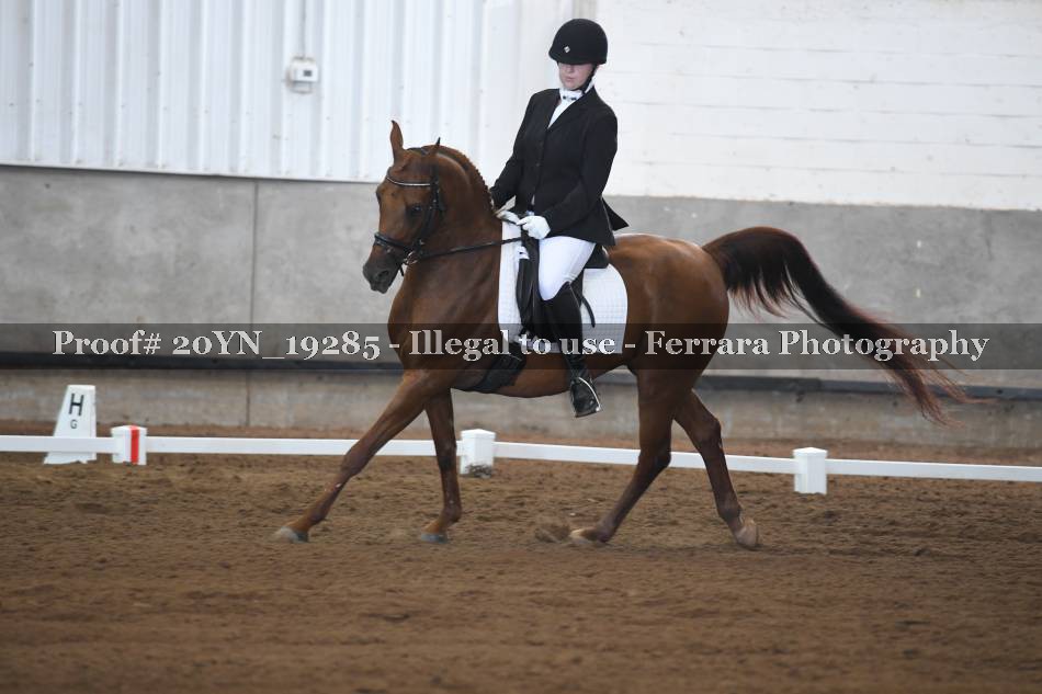Proof 20YN_19285