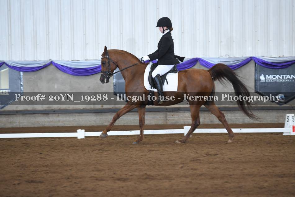 Proof 20YN_19288