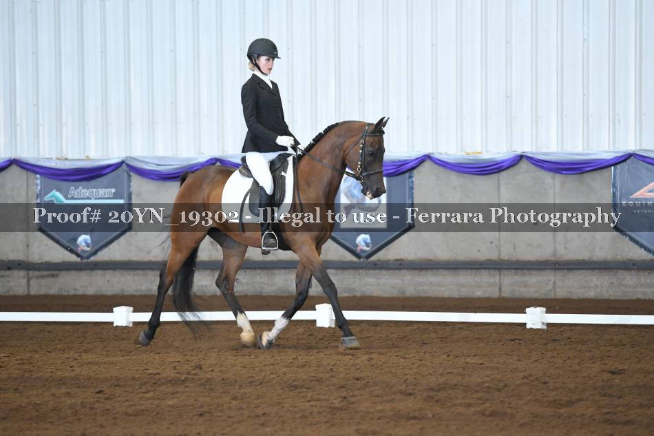 Proof 20YN_19302