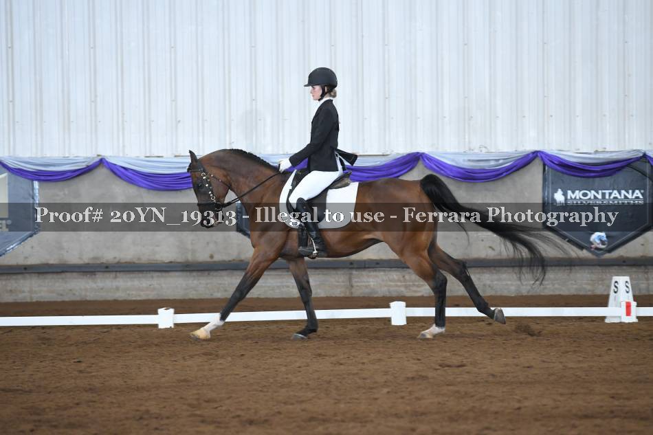 Proof 20YN_19313