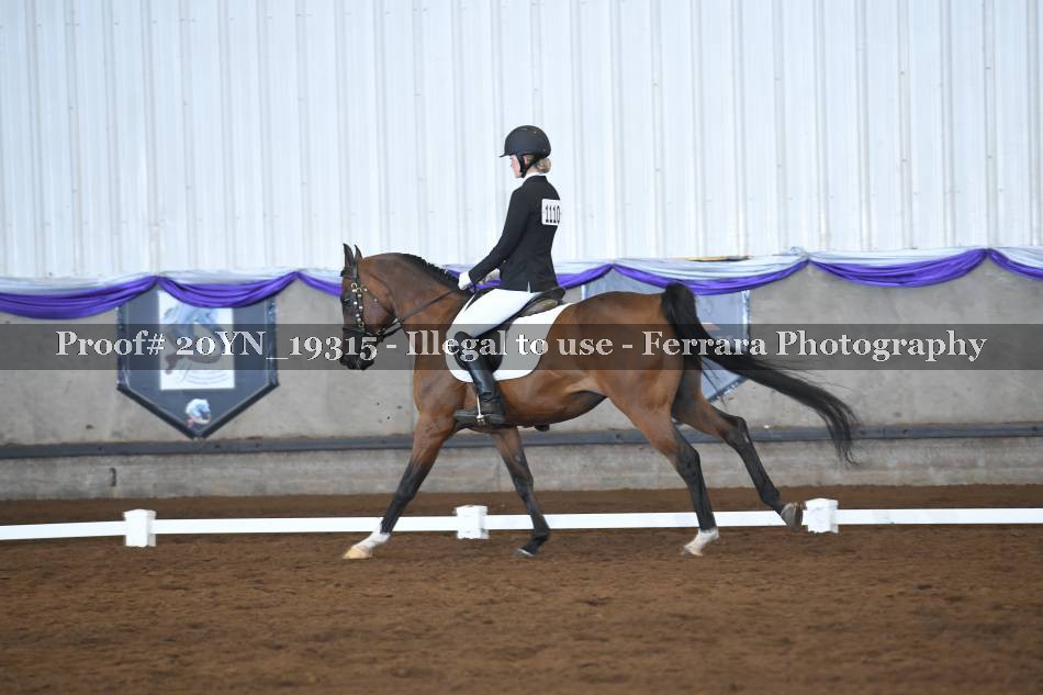 Proof 20YN_19315