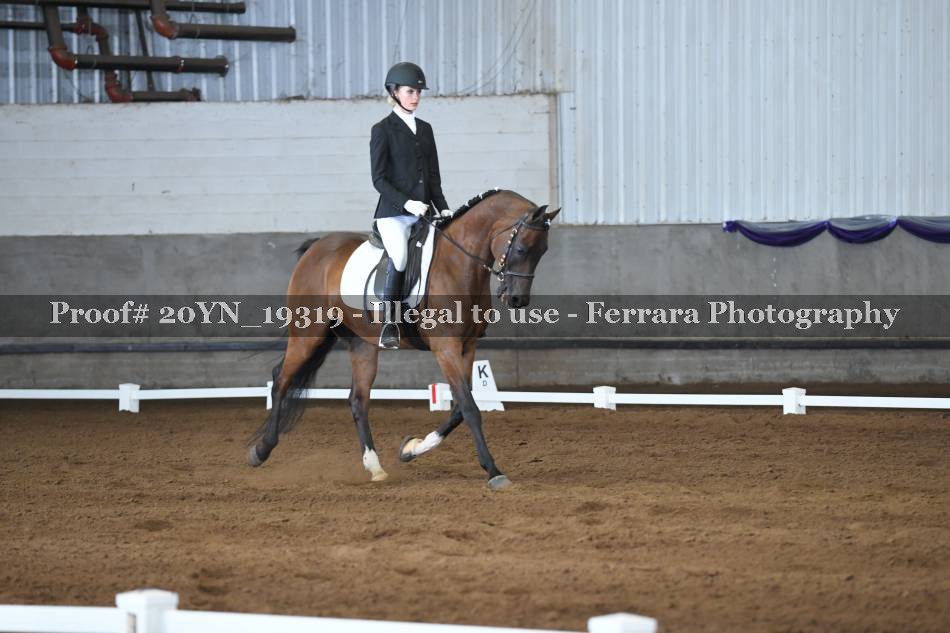 Proof 20YN_19319