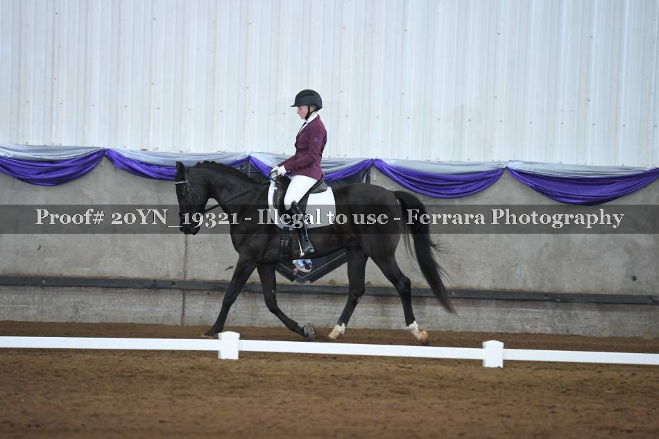 Proof 20YN_19321