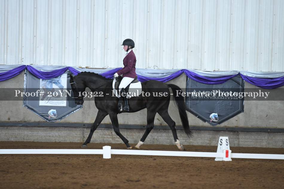 Proof 20YN_19322
