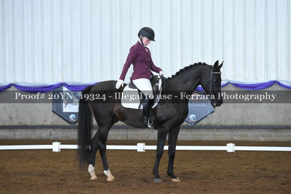 Proof 20YN_19324