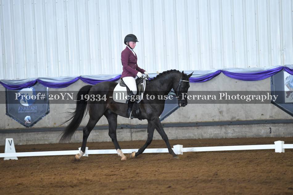 Proof 20YN_19334