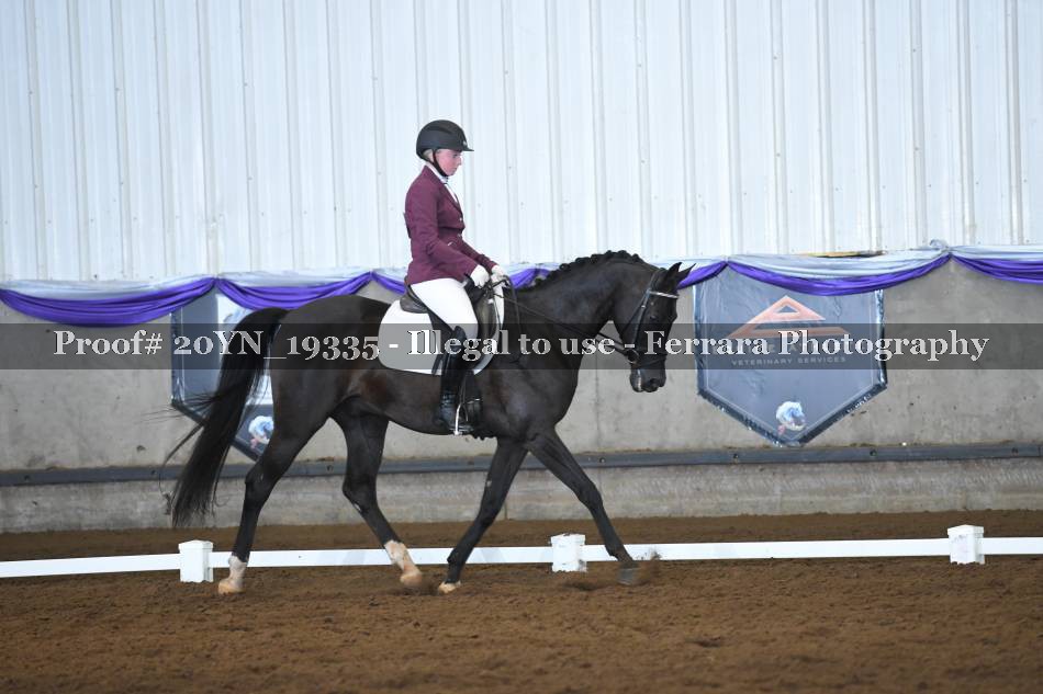 Proof 20YN_19335