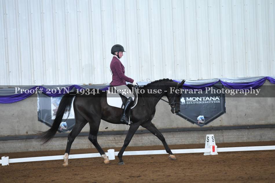 Proof 20YN_19341