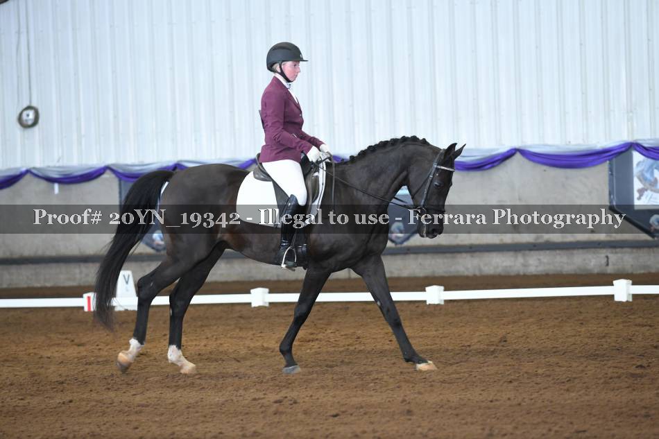 Proof 20YN_19342