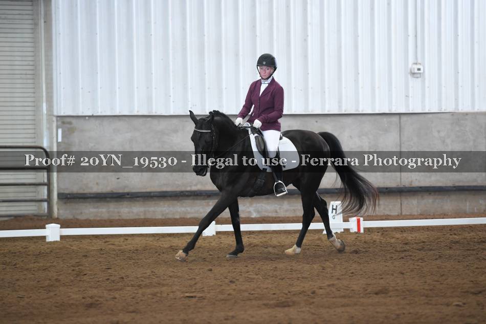 Proof 20YN_19530