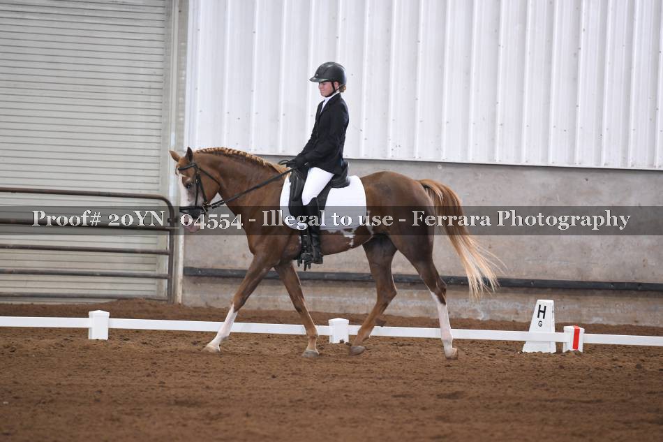 Proof 20YN_04554