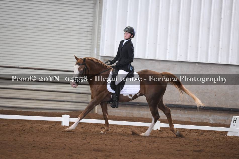 Proof 20YN_04558