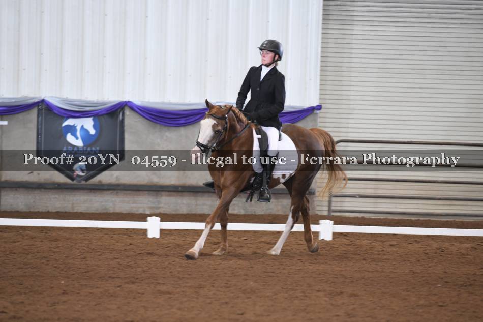 Proof 20YN_04559