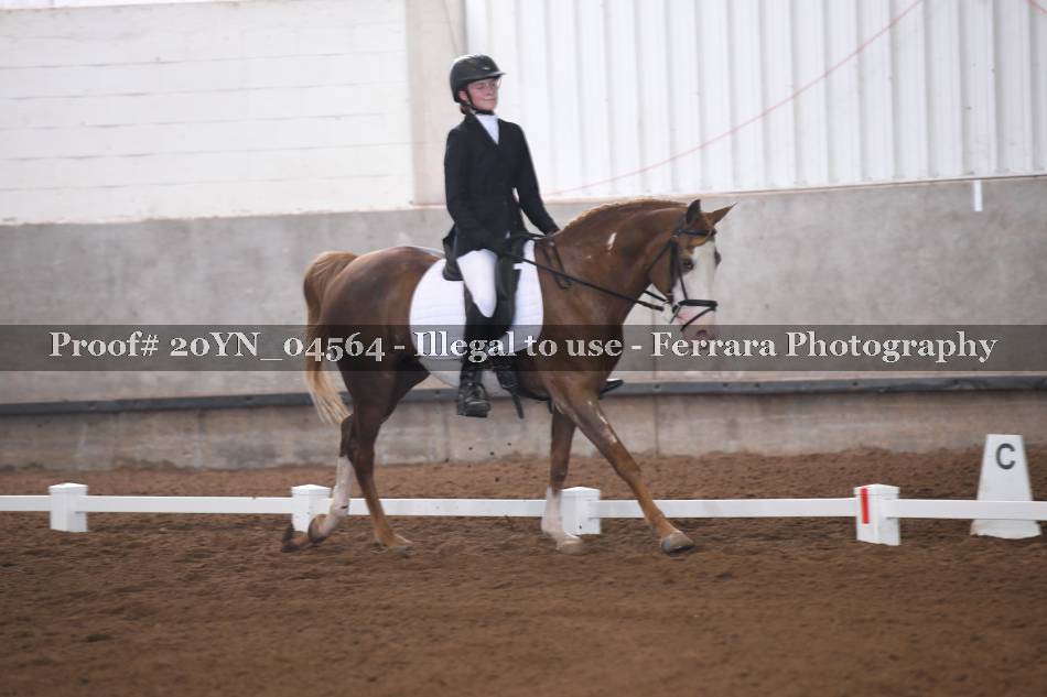 Proof 20YN_04564