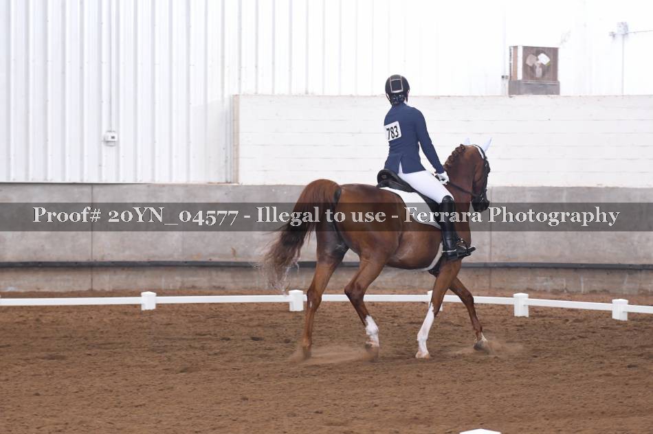 Proof 20YN_04577