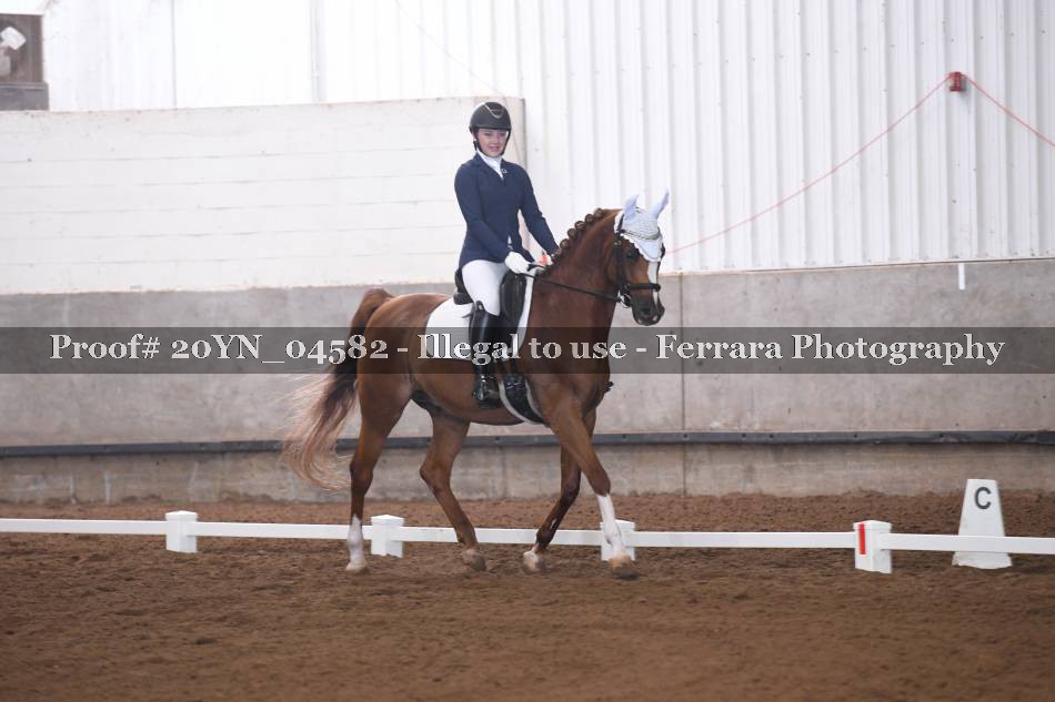 Proof 20YN_04582