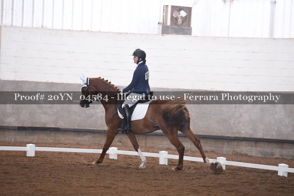 Proof 20YN_04584