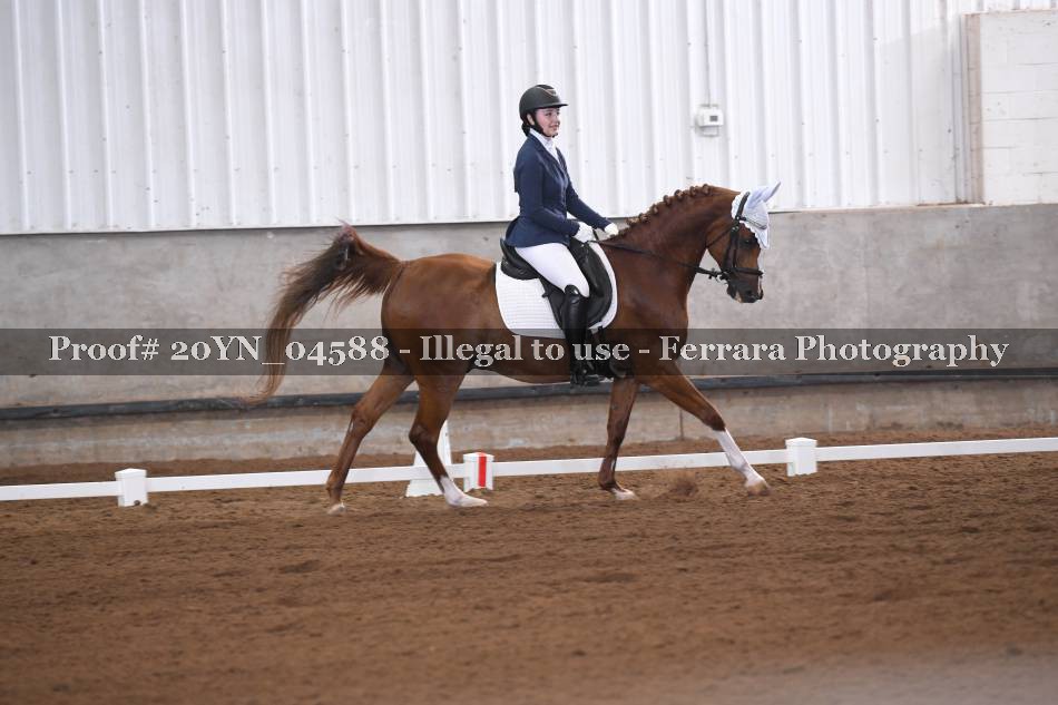 Proof 20YN_04588