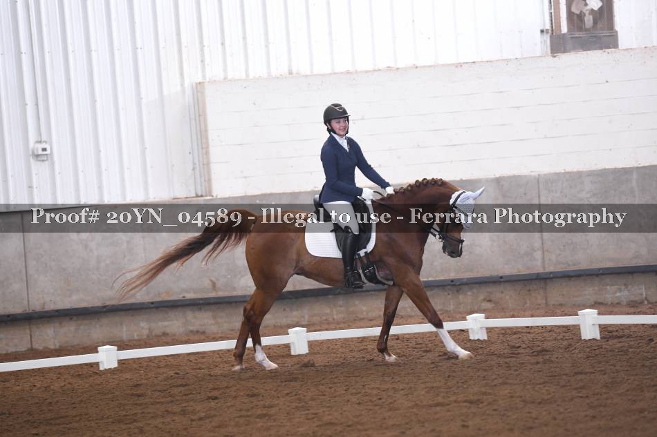 Proof 20YN_04589